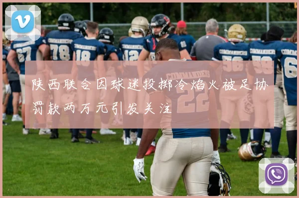 陕西联合因球迷投掷冷焰火被足协罚款两万元引发关注